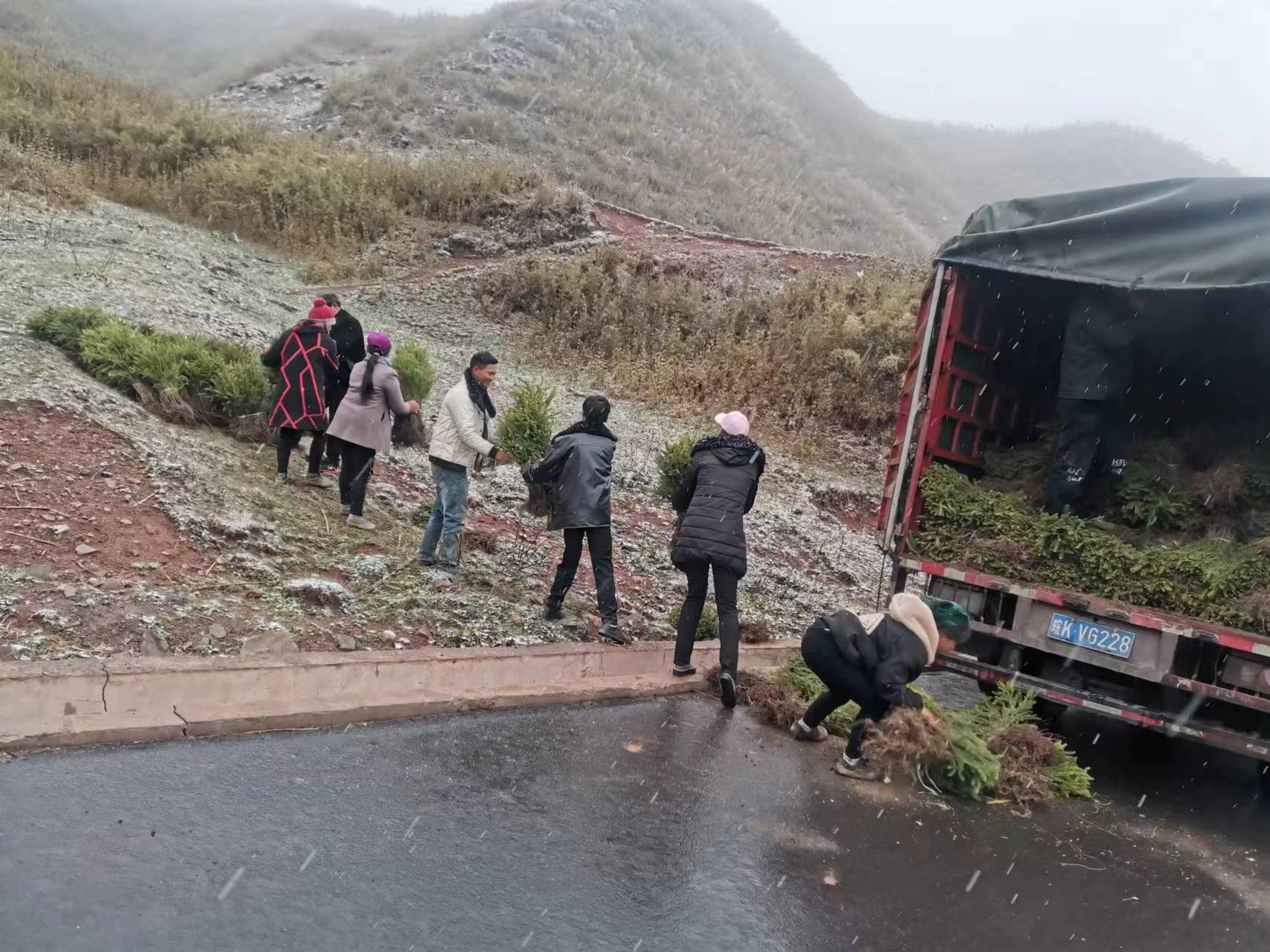 Preparation of tree planting.jpg